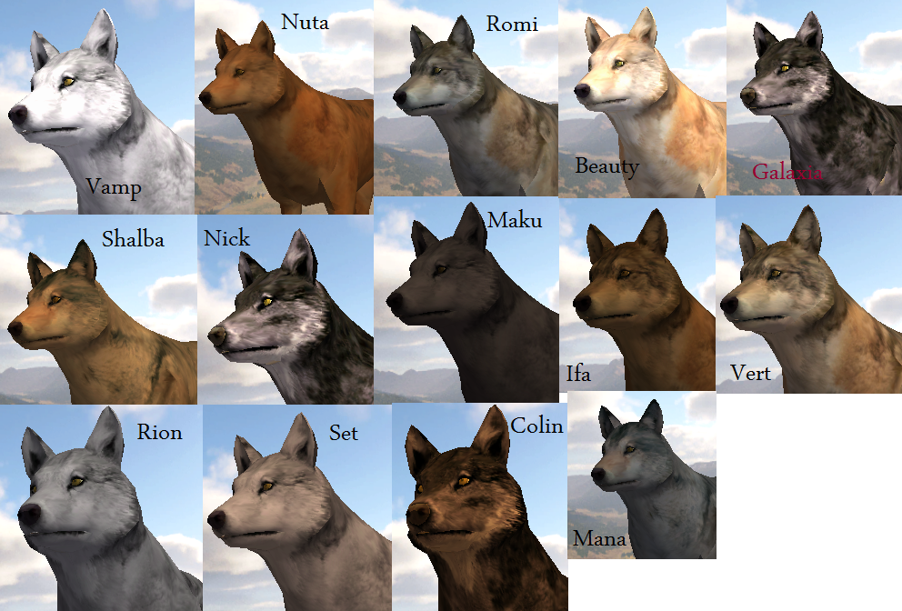 Wolf_Quest___My_wolves_by_Adela555.png